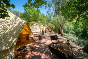 Castlemaine Gardens Luxury Glamping